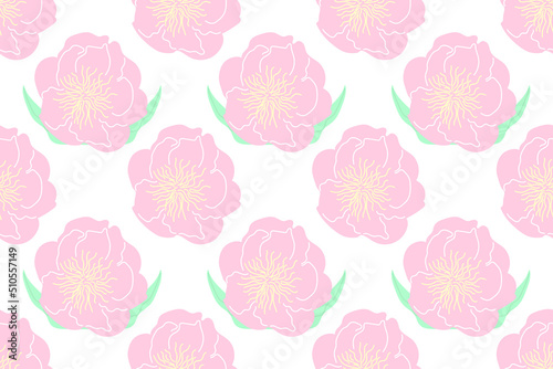 Peony seamless background. Wrapping  textile template. Flowers pattern. Botanical print.