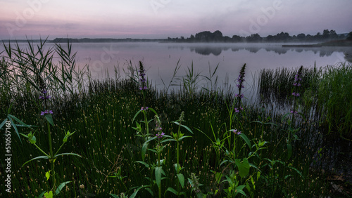 Morning at the lake - Morgens am See