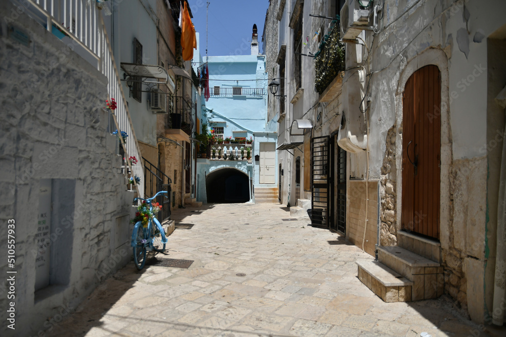 A small street in Casamassima, a village with blue-colored houses in the Puglia region of Italy. A small street in Casamassima, a village with blue-colored houses in the Puglia region of Italy.