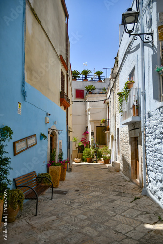 A small street in Casamassima, a village with blue-colored houses in the Puglia region of Italy. photo