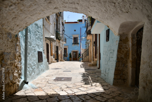 Fototapeta Naklejka Na Ścianę i Meble -  A small street in Casamassima, a village with blue-colored houses in the Puglia region of Italy.