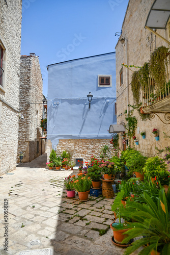 A small street in Casamassima, a village with blue-colored houses in the Puglia region of Italy. photo