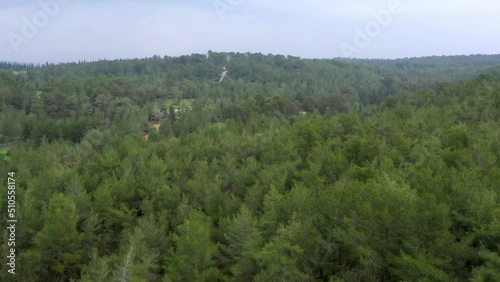 Aerial Forward Shot Of Famous Ben Shemen Forest Against Sky photo