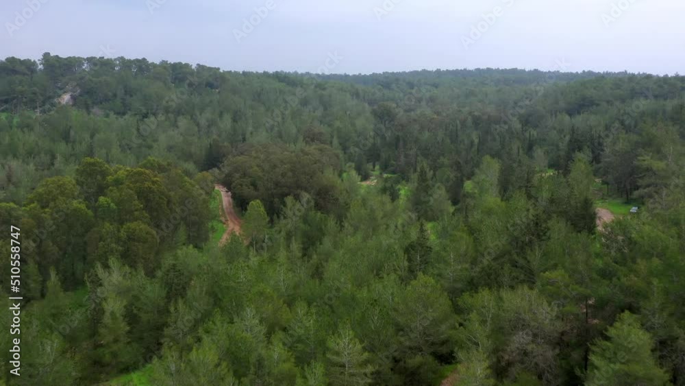 Aerial Forward Shot Of Muddy Road Amidst Trees In National Forest - Ben Shemen Forest, Israel Aerial Forward Shot Of Muddy Road Amidst Trees In National Forest - Ben Shemen Forest, Israel