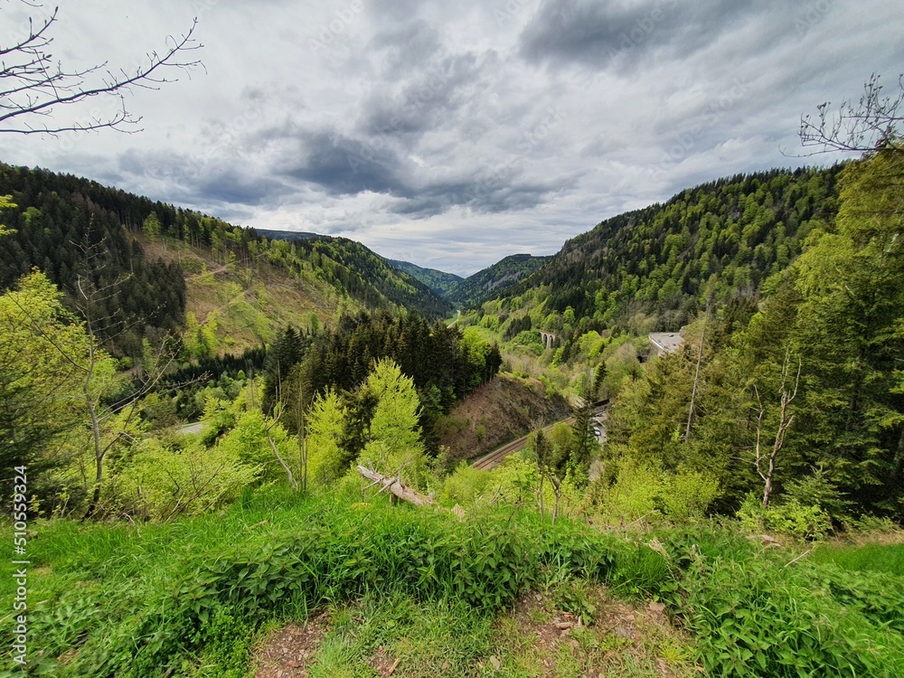 Black Forest Panorama From the top of  Teufelsschwanzli (the Devil's Tail), high contrast, cloudy, deep green, view 2