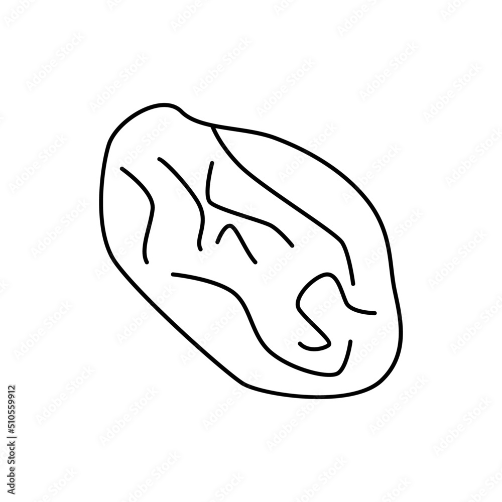 Raisins icon in line style icon, isolated on white background Raisins icon in line style icon, isolated on white background