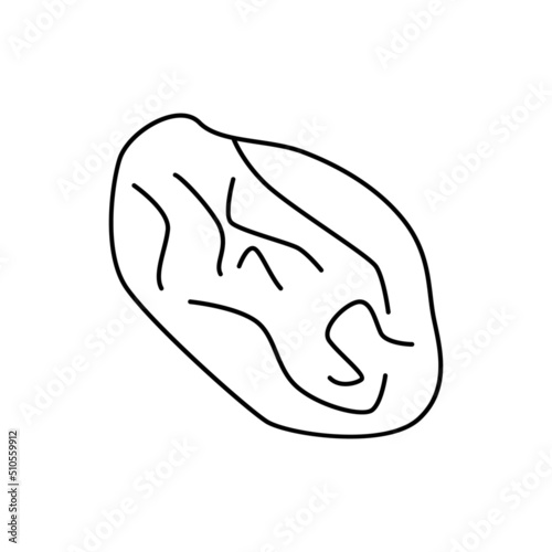 Raisins icon in line style icon, isolated on white background
