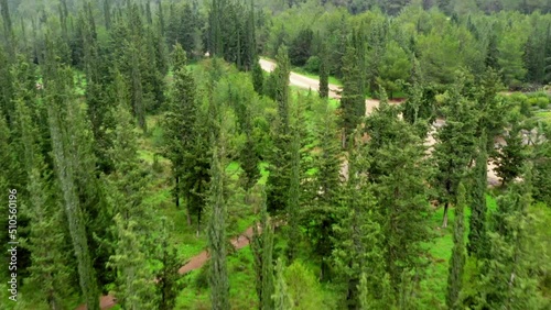 Aerial Forward Panning Shot Of Green Trees In Ben Shemen Forest photo