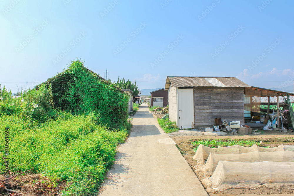 のんびりとした田舎の風情「農道」