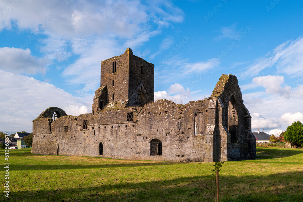 Augustinian Friary in Callan
