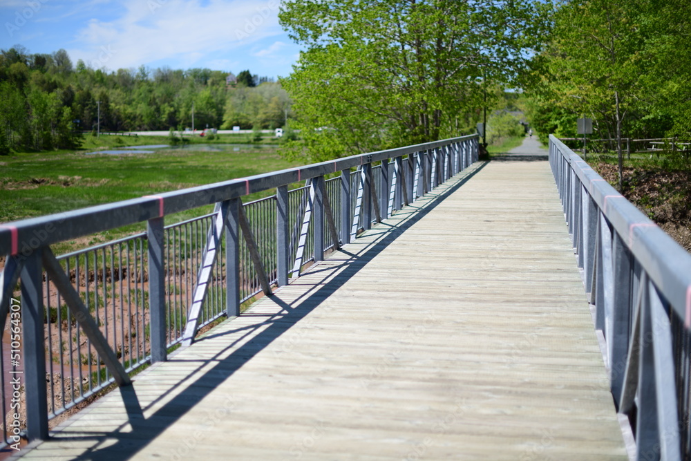 wooden bridge in the park