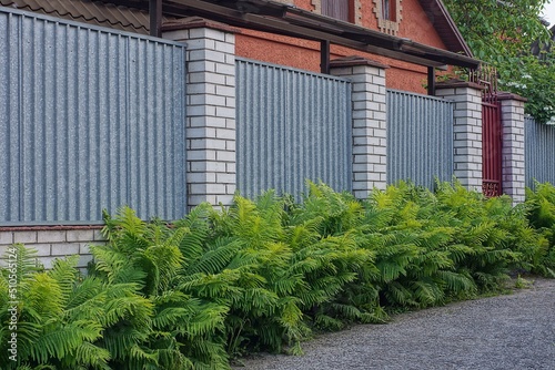 part on a fence wall made of gray metal and white bricks on a rural street overgrown with green ferns
