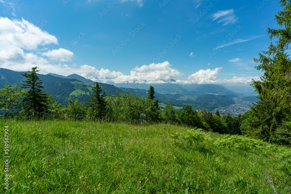 Panorama vom Rheintal bei Feldkirch, Rankweil und Dafins. sonnige Aussicht über Täler, Hügel und Berge, Wiesen und Wälder, Dörfer und Stadt. Sommer in Vorarlberg