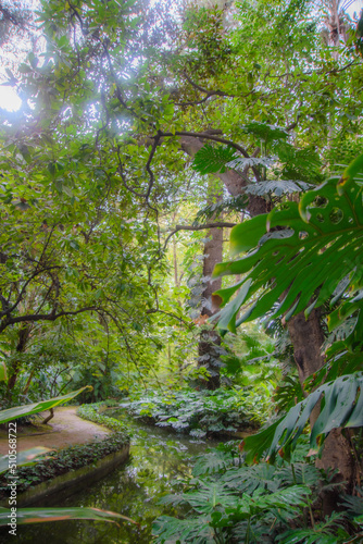 Stream in the beautiful historical botanical garden of the Conception of Malaga, Andalucia, Spain