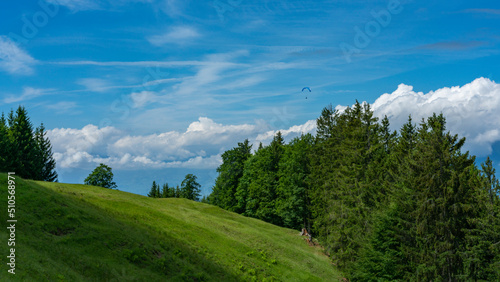Weg im Rheintal über Wiesen, Hügel und durch den Wald. Wälder an steilem Abhang, einzeln stehende Bäume an einem sonnigen Sommertag.
