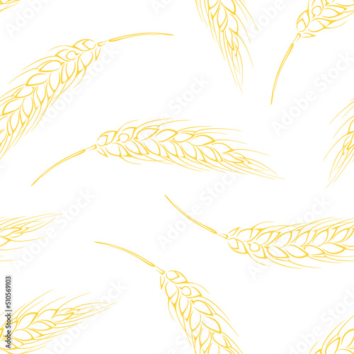 Wheat ears outline seamless pattern. Botanical background. Vector illustration of agricultural plant.