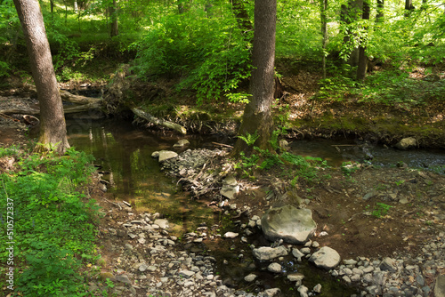 Obraz na płótnie brook in carpathian beech woods. deep forest in dappled light. stones and roots on the shore. green nature scenery in spring w salonie