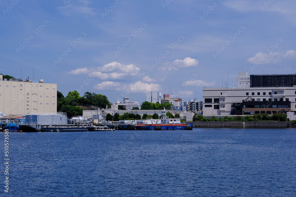Obraz premium 横須賀港の風景