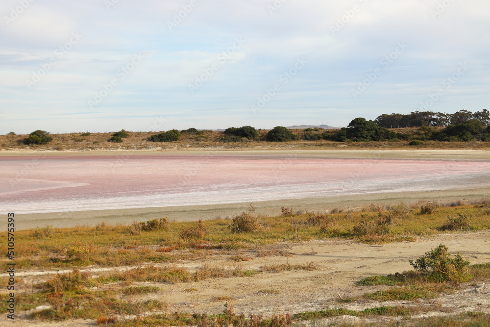 A pink salt pan on a farm near Witsand, Western Cape, South Africa.