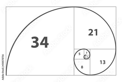 Golden ratio template vector spiral. Gometric or symmetry spiral. Divine Proportion. Vector illustration