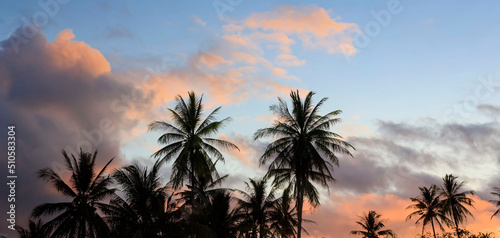 The banner travel of tropical in summer mood with palm trees and sunset sky background,Summer season time mood concept