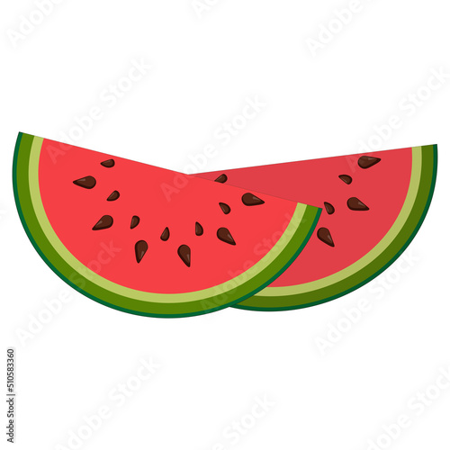Vector illustration two juicy slices of watermelon