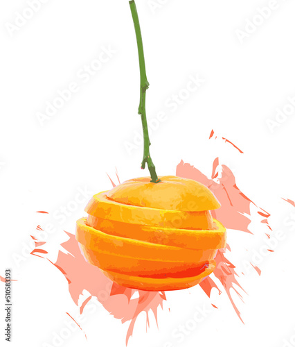 Abstract of orange fruits on white background with color spread.