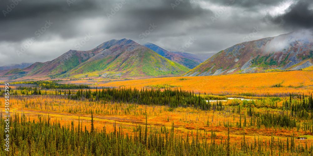 Obraz premium Landscape with taiga and mountains in autumn colors