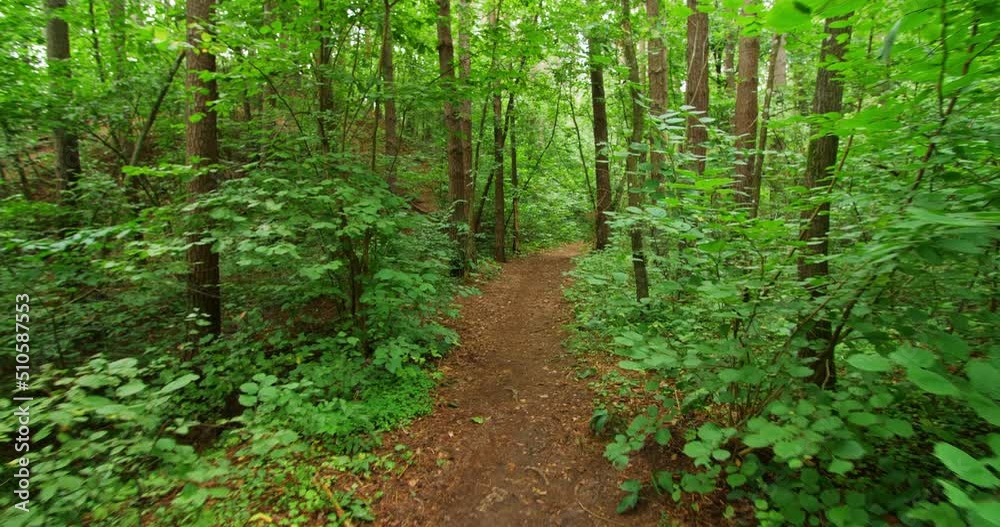 Personal perspective of walking on a narrow path in the green forest, daytime.