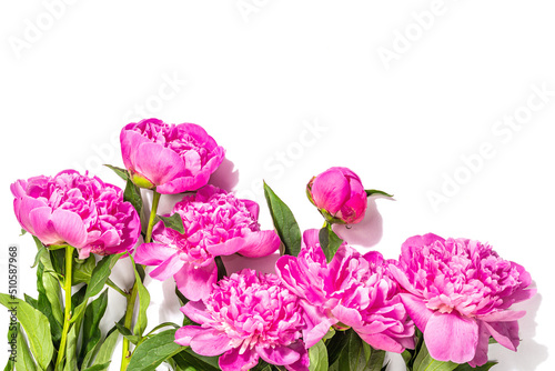 Fragrant pink peonies bouquet isolated on white background. Summer card, seasonal design, festive concept