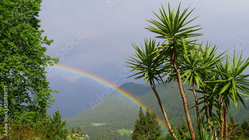 Regenbogen mit Palmen und im Hintergrund Berge © turtles2