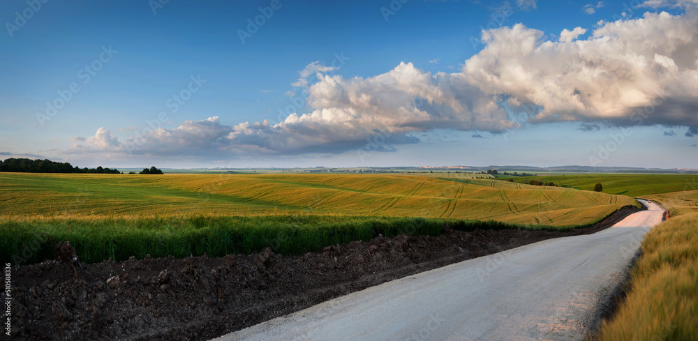 road in rye field, beautiful summer landscape with evening light, blue sky and clouds.