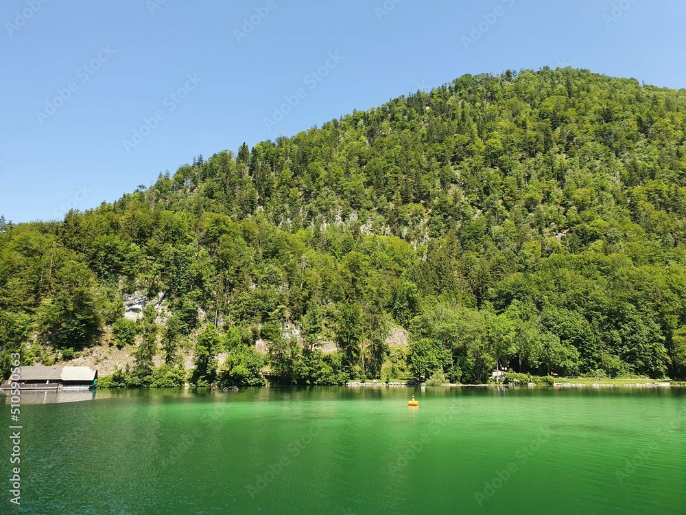 lake and forest lake and forest