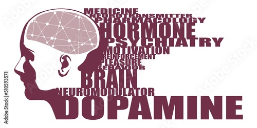 Illustration of a human head with brain textured by line and dots pattern. Dopamine relative words cloud