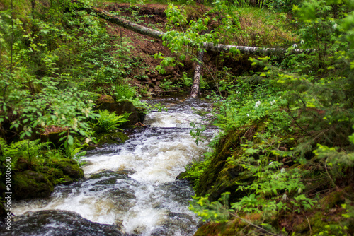 waterfall in the forest