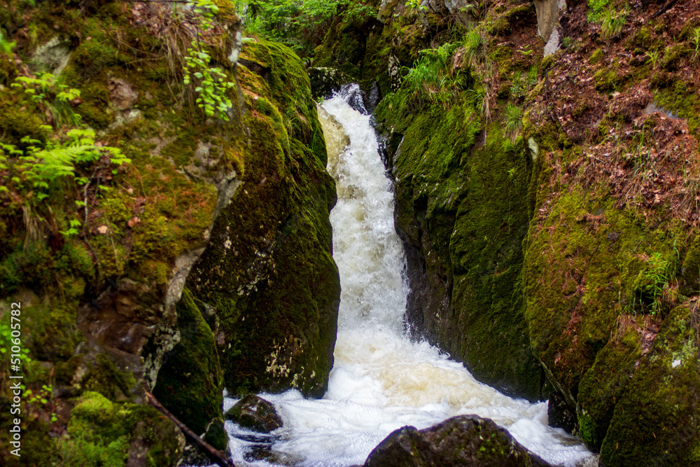 waterfall in the forest