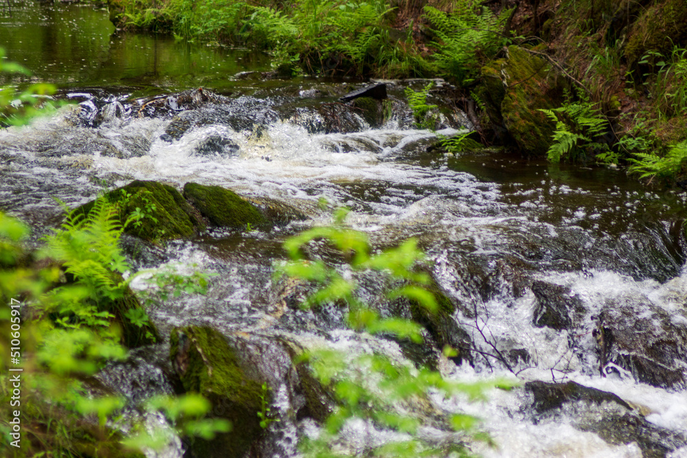 Naklejka premium waterfall in the forest
