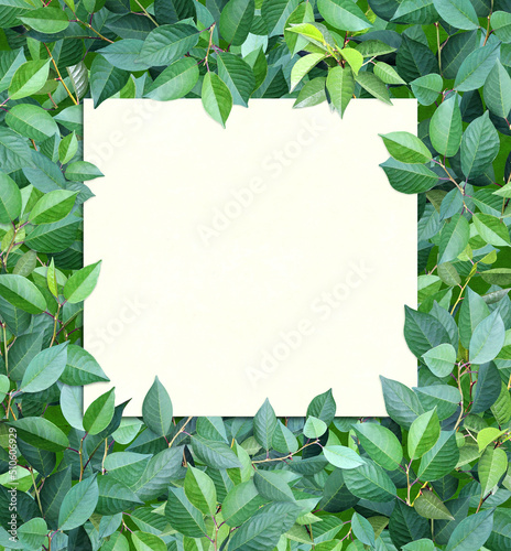 Decorative background with branches and green leaves.  Summer nature background and recycled paper label