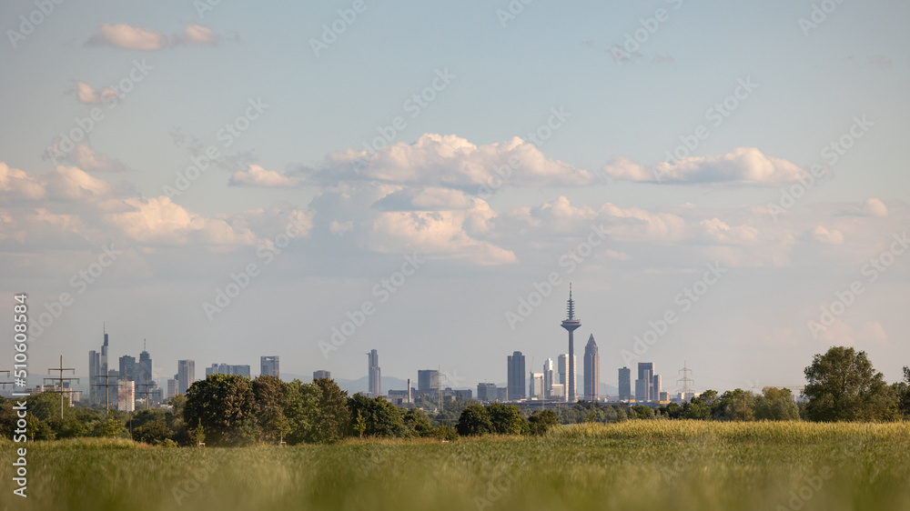 Frankfurt skyline - Frankfurt am Main, Hessen, Germany Mai 2022: View from the wheat field at the Hochtaunus to Frankfurt am Main. Blue sky with clouds. 