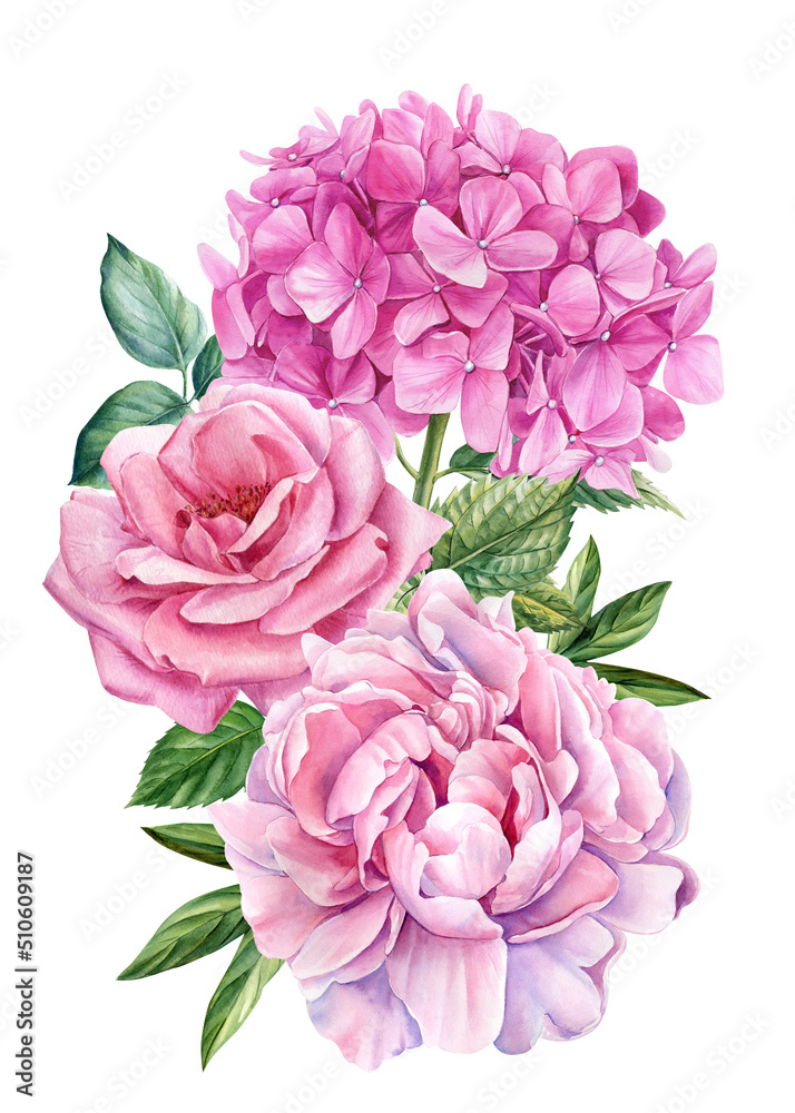 Flowers peony, rose, hydrangea and leaves, watercolor botanical illustration, Floral design.