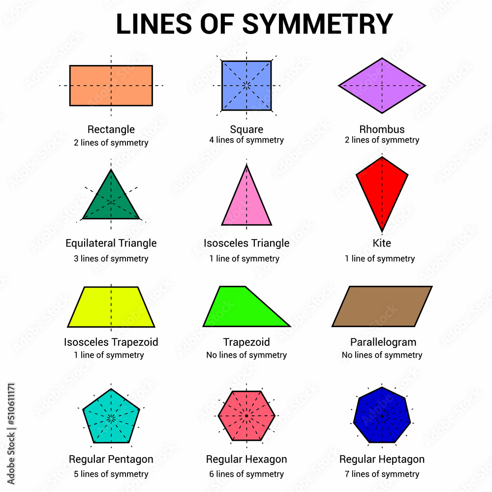 lines of symmetry of shapes Stock Vector | Adobe Stock