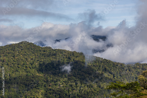 Aerial Drone image of Beautiful deep green rainforest jungle of Sabah, Borneo.