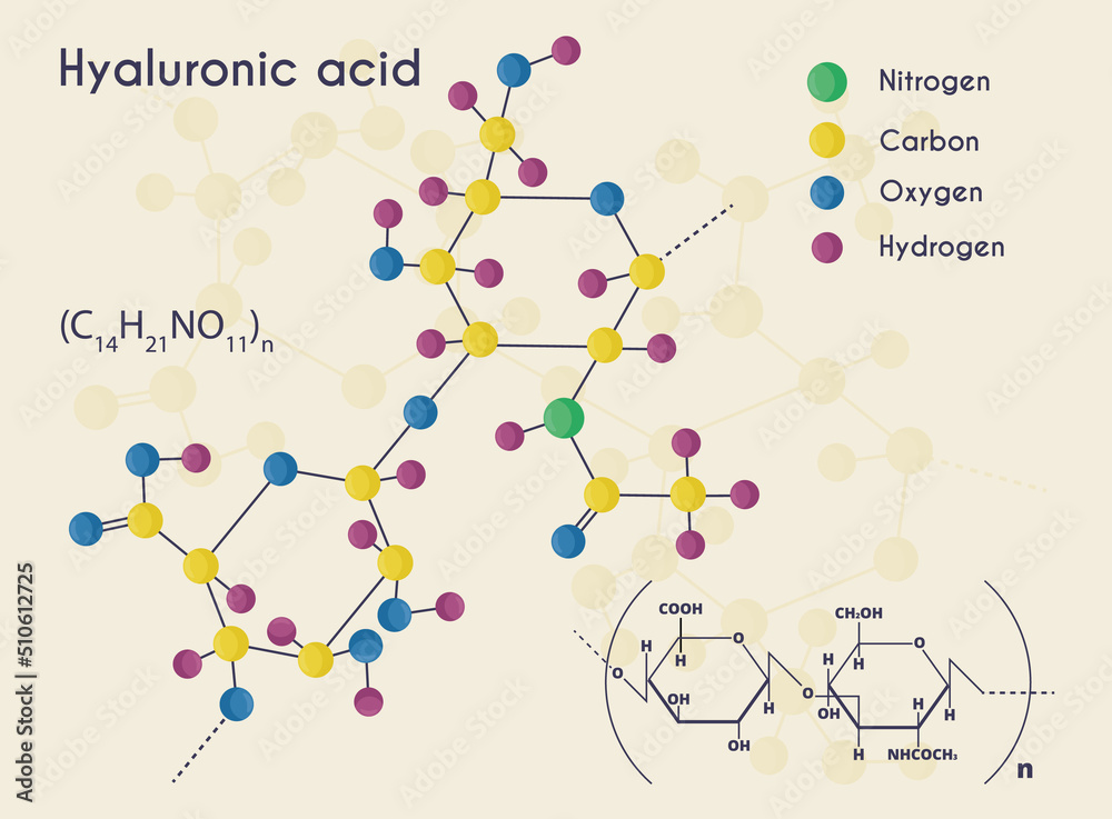 Hyaluronic acid. Chemical formula. Molecule of hyaluronic acid