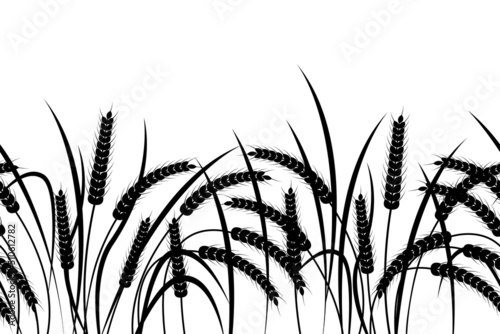 Ears of wheat on a transparent background