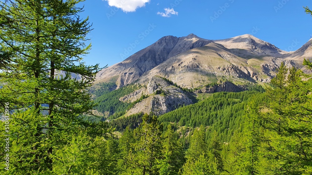 Fototapeta premium montagne