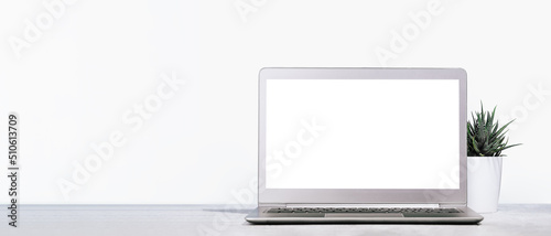 Front view of the laptop with mockup blank screen on the desk. Copy space. Minimal monochrome banner. Small plant in a pot