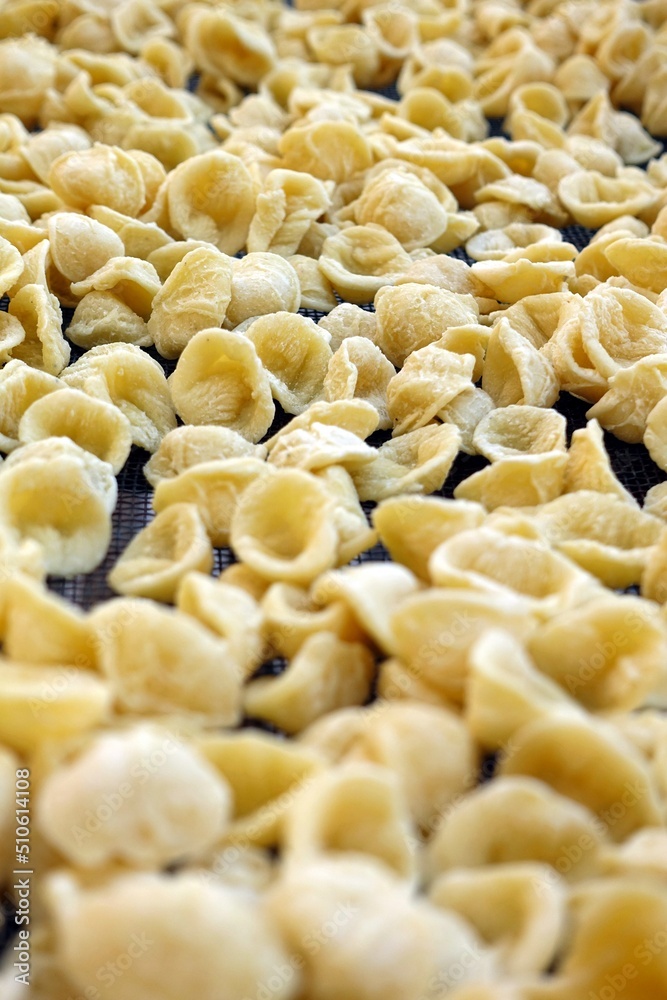 Close-up image of fresh handmade Apulian orecchiette pasta. Typical Italian pasta recipe Close-up image of fresh handmade Apulian orecchiette pasta. Typical Italian pasta recipe