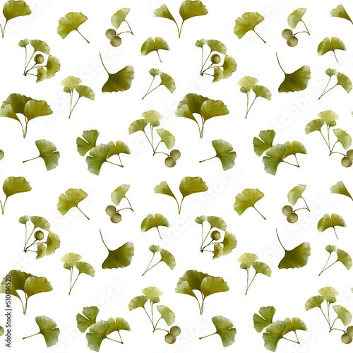 Seamless pattern of ginkgo biloba branches and leaves. Isolated on white background.