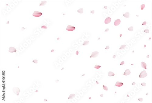 Cherry petals backdrop. Sakura petals background.