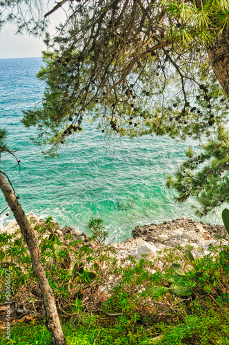 Scenery with sea and trees © Feelmytravel